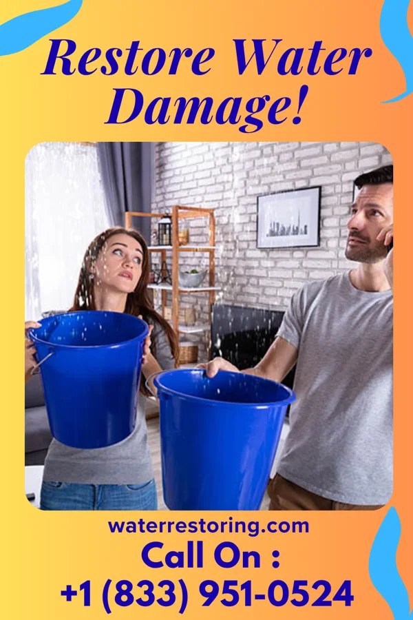 water restoration Horizon Cleanup Company Bellevue