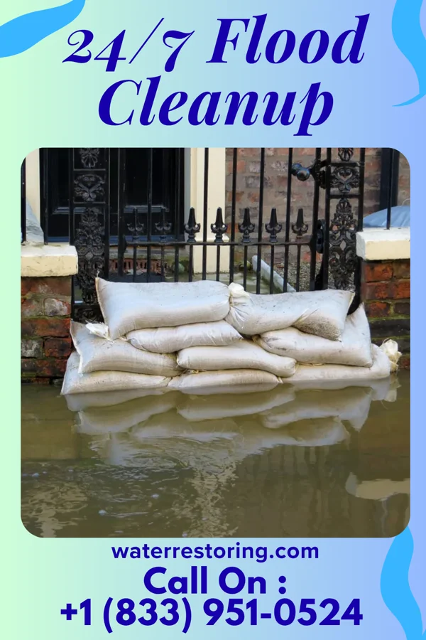 24/7 Flood Cleanup in Bellevue, PA