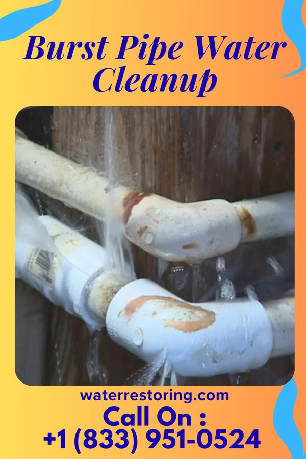 Burst Pipe Water Cleanup in Bellevue, PA