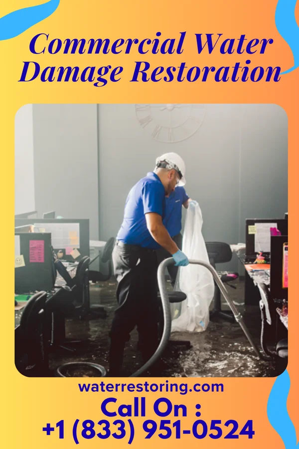 Commercial Water Damage Restoration in Bellevue, PA