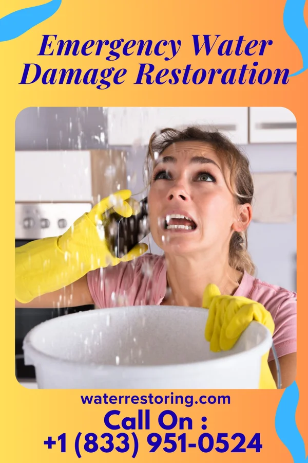 Emergency Water Damage Restoration in Bellevue, PA