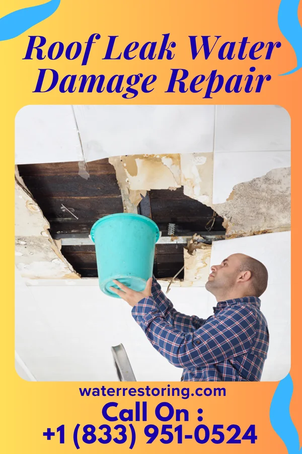 Roof Leak Water Damage Repair in Bellevue, PA