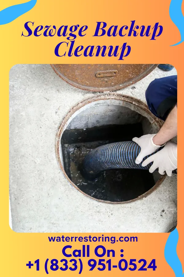 Sewage Backup Cleanup in Bellevue, PA