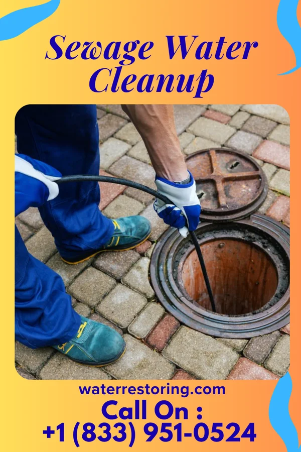 Sewage Water Cleanup in Bellevue, PA